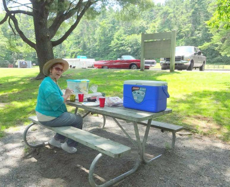 parkway picinic (Large).jpg