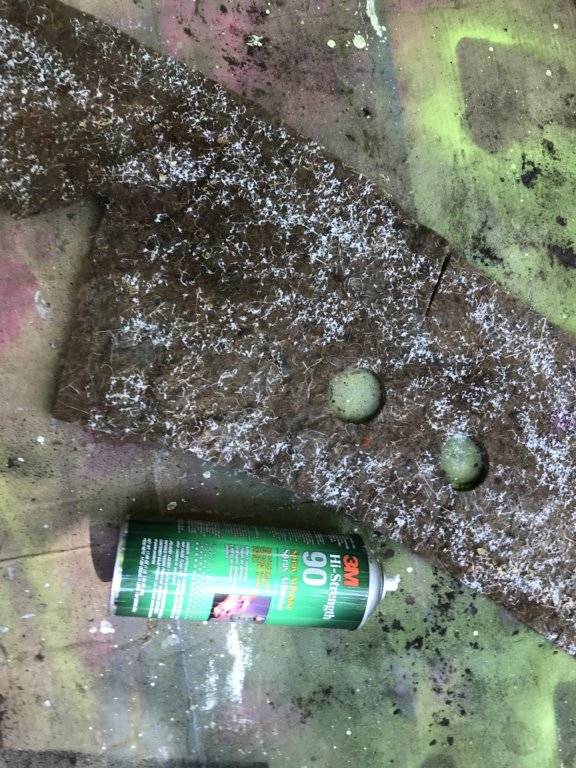 Photo Aug 01, 11 20 00 AM.jpg