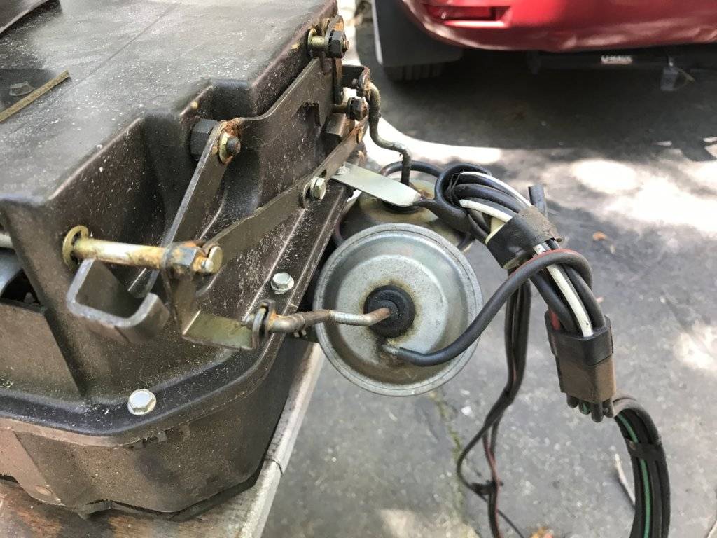 Photo Jul 08, 10 55 13 AM.jpg