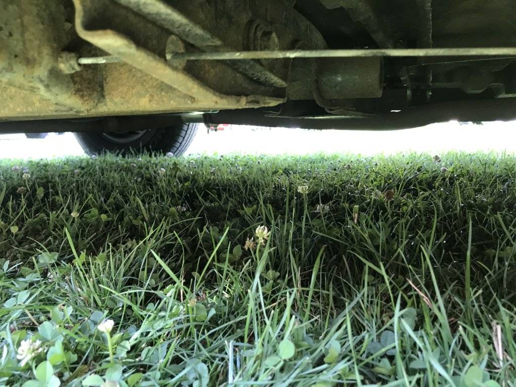 Photo Jul 13, 11 07 02 AM.jpg