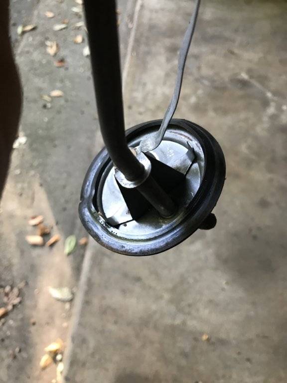 Photo Sep 21, 8 22 33 AM.jpg