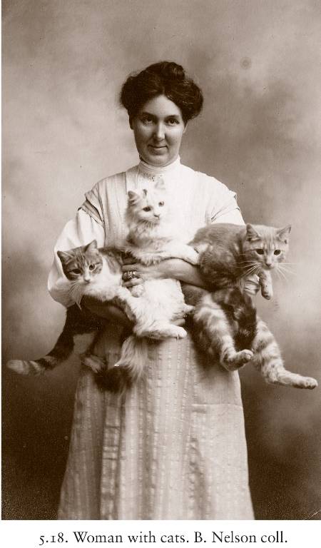 photographed-cat-cat-lady.jpg