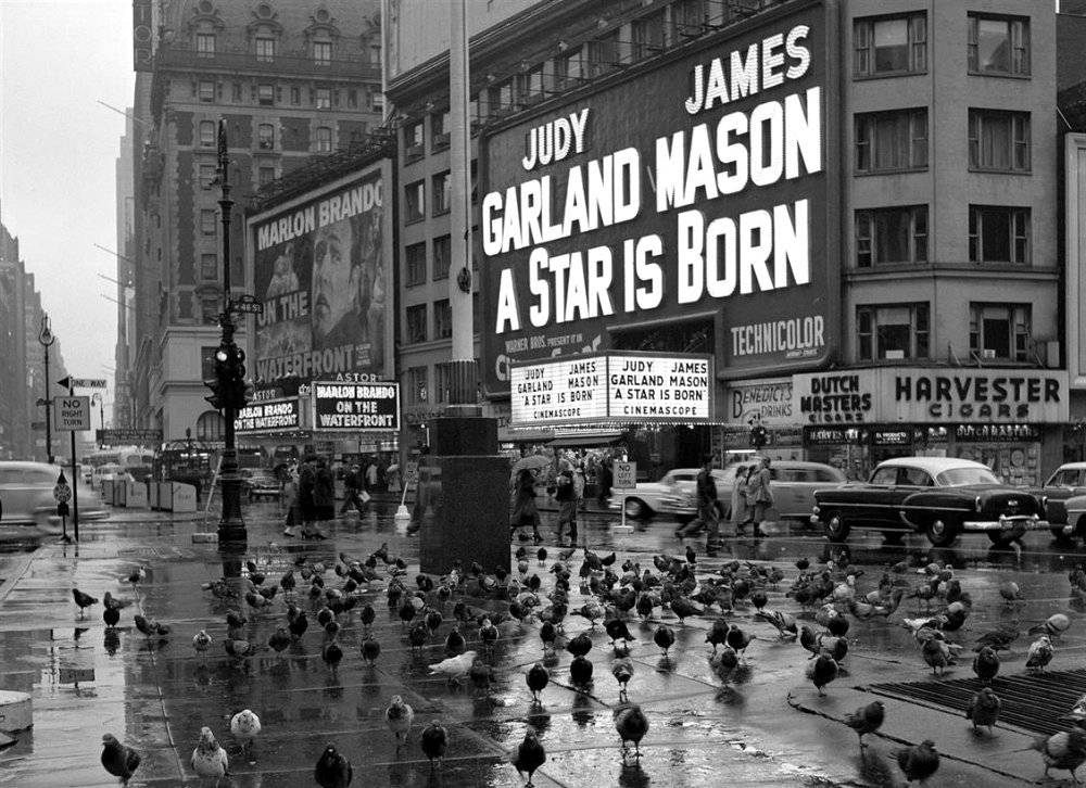 pigeons-gather-in-times-square-on-a-rainy-day-new-york-city-1954.jpg