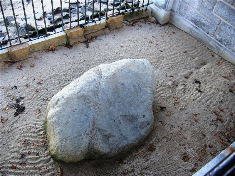 Plymouth-Rock-10.jpg