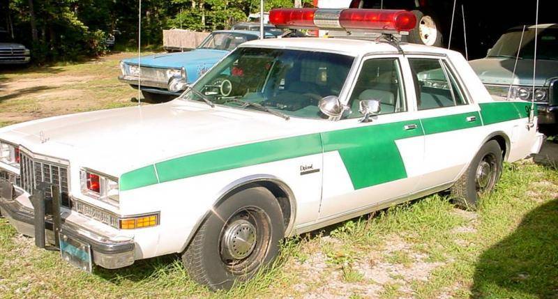 plymouth trooper car (Large).jpg