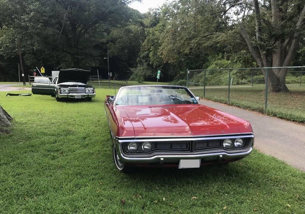 Poppy Peter Clancy 20190822.jpg