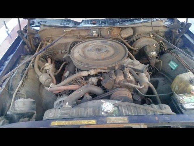 purple fury 8.jpeg.jpg