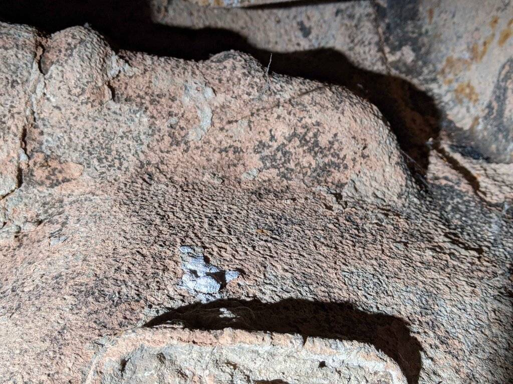 PXL_20210220_222303940 Soil.jpg