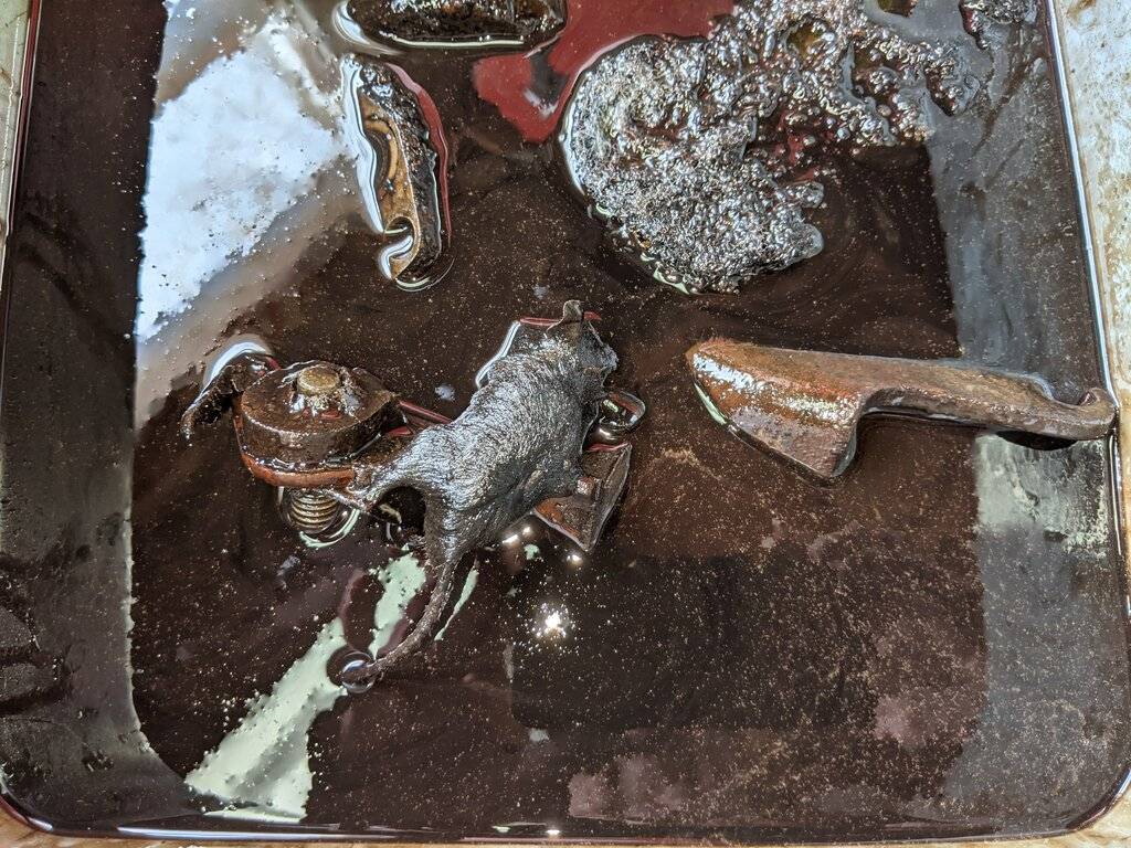 PXL_20210224_173605933 mouse trap.jpg