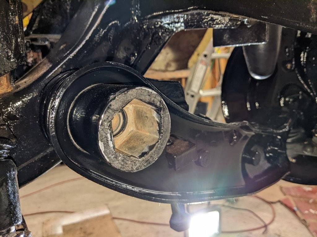 PXL_20230410_173712322 RLCA.jpg