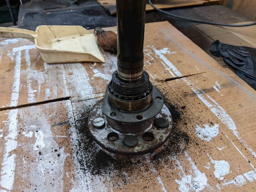 PXL_20231212_203519394 RS.jpg