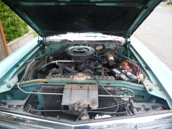 Q4 - Aquamarine Poly 4-door Crown - 009.jpg