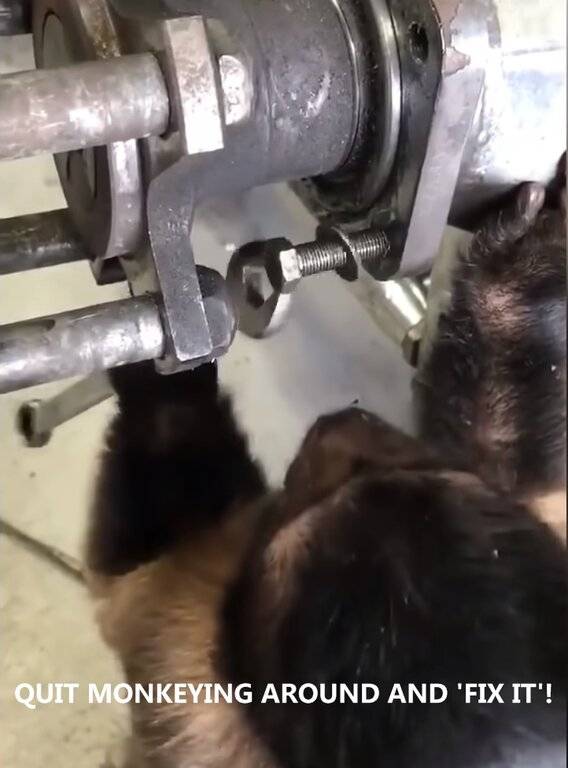 QUIT MONKEYING AROUND AND 'FIX IT'!.001.jpg