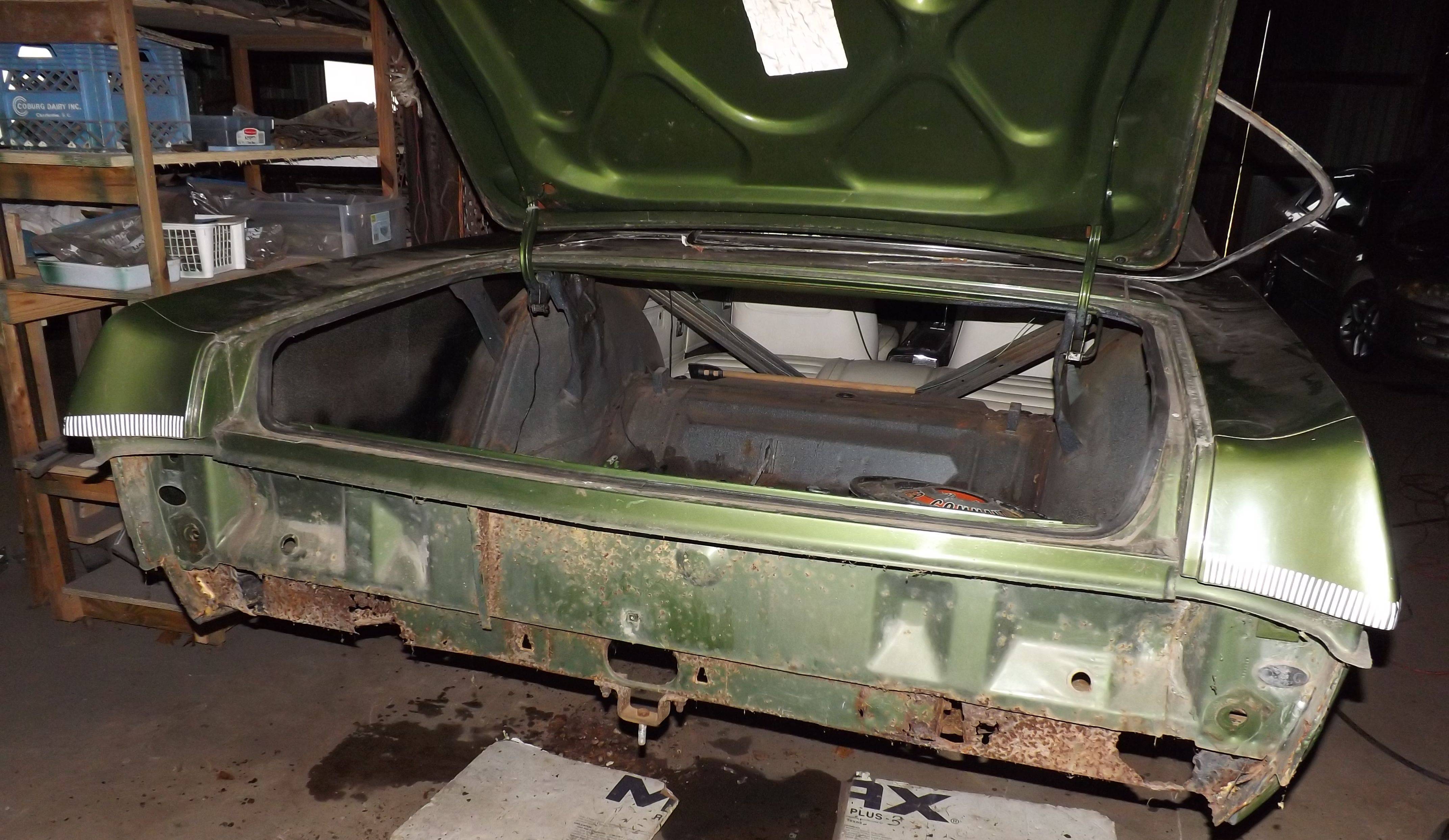 rear bumper area.jpg