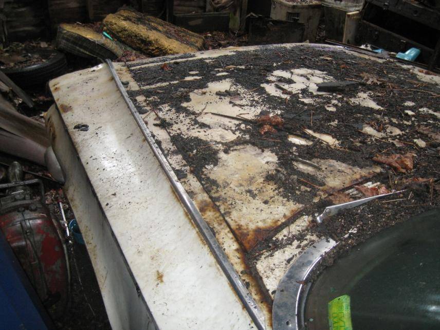 refresh 2010 007.jpg