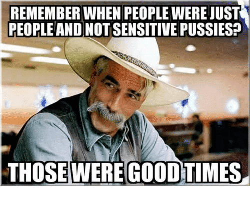 remember-when-people-were-just-people-and-not-sensitive-pussies-5032008.png
