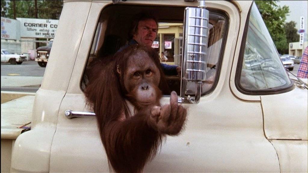 right turn clyde.jpg