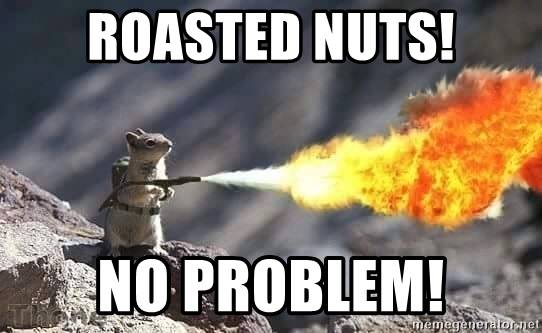 roasted-nuts-no-problem.jpg