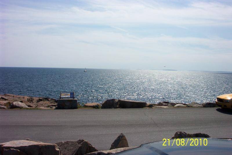 Schoodic Point  8-21-10 004.jpg