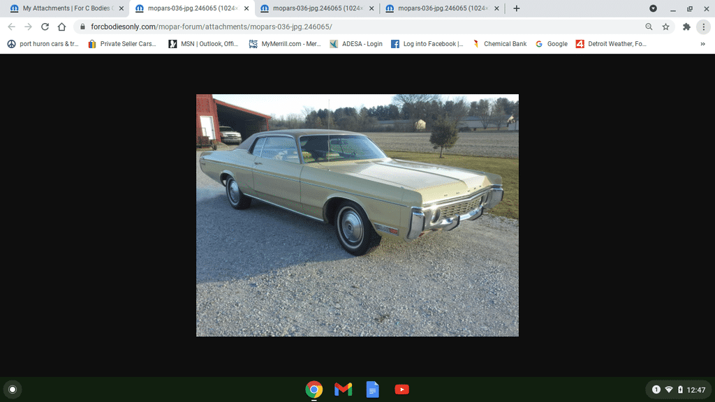 Screenshot 2021-03-14 at 12.47.33 PM.png