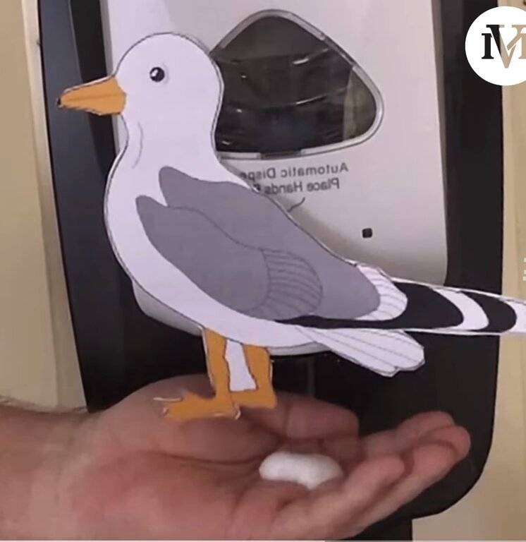 SEAGULL.HAND.SANITIZER.002.jpg