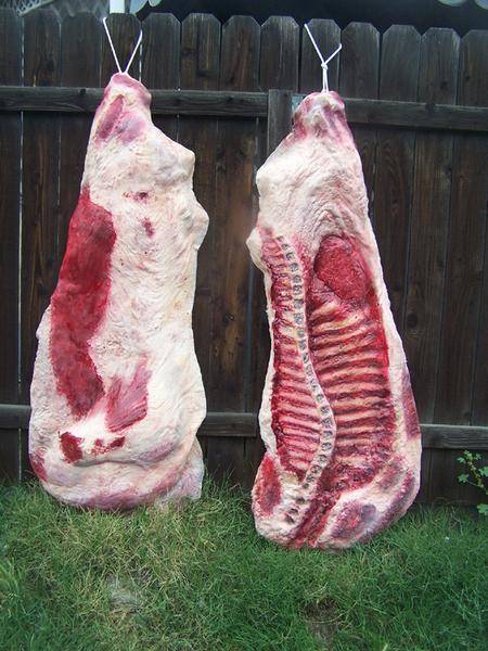 side_of_beef_flatback_pair_150r550s__76249_grande.jpg
