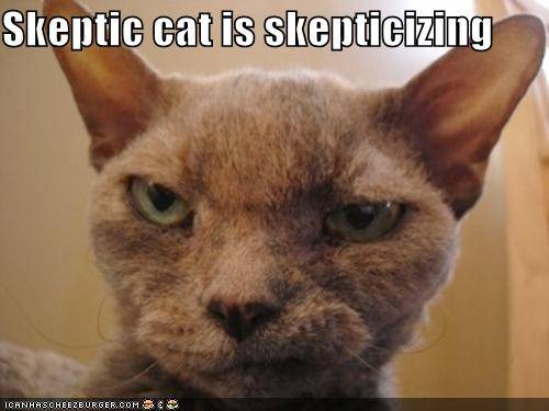 skeptic_cat_4.jpg