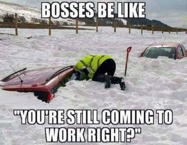 snow-humor-winter-texas-twitter-memes8.jpg