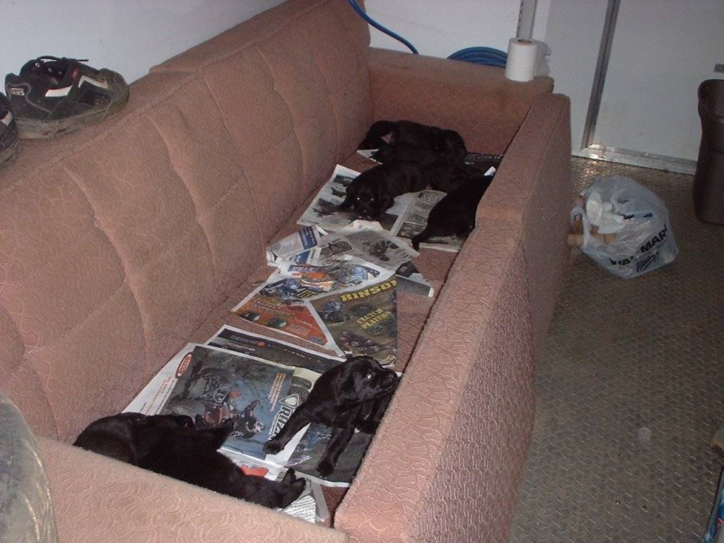 spoiler pics 477.jpg