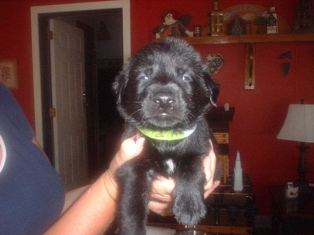 spoiler pics 490.jpg