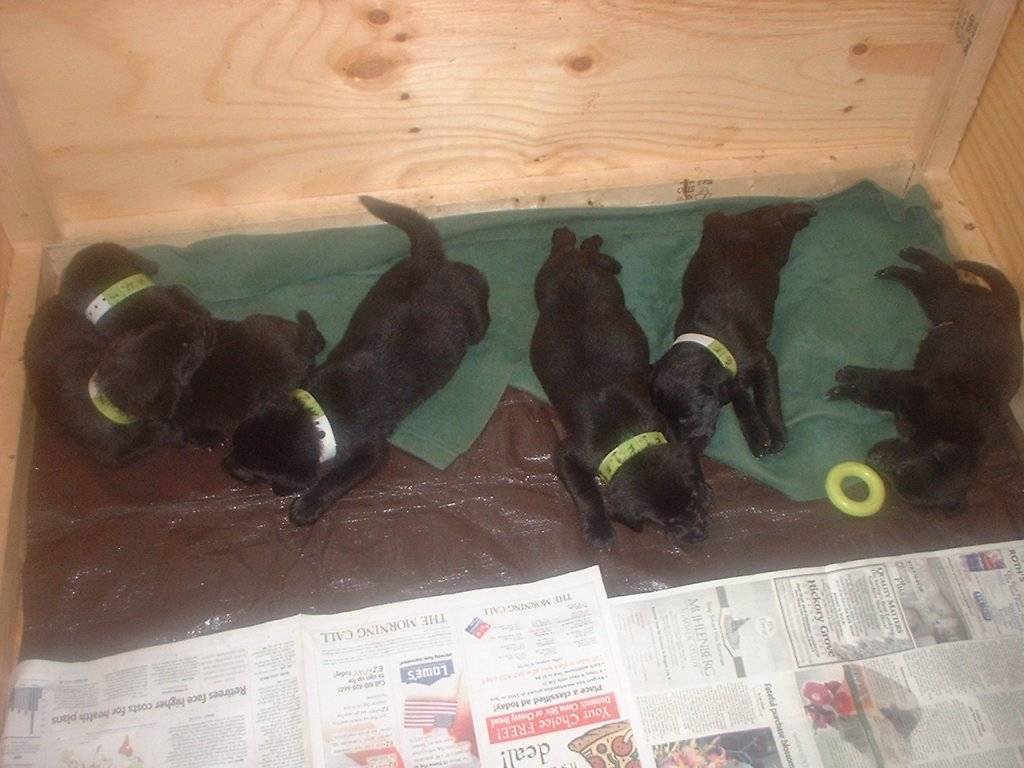 spoiler pics 492.jpg