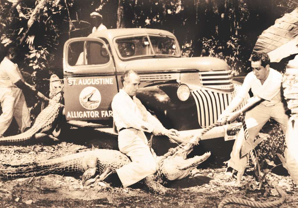 St.-Augustine-Alligator-Farm-historic-photo.jpg