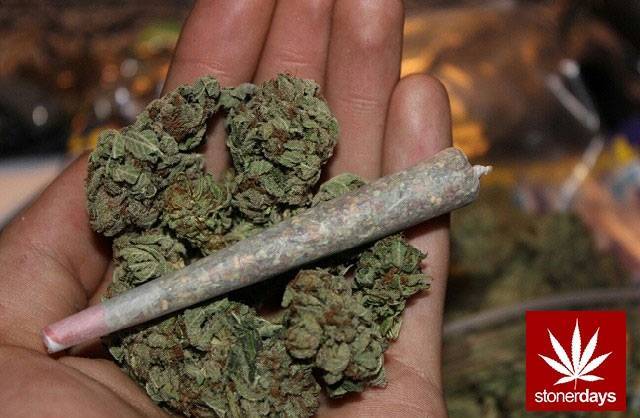 stonerdays-stayblazed-marijuana-pipes-joints-blunts-weed-166.jpg