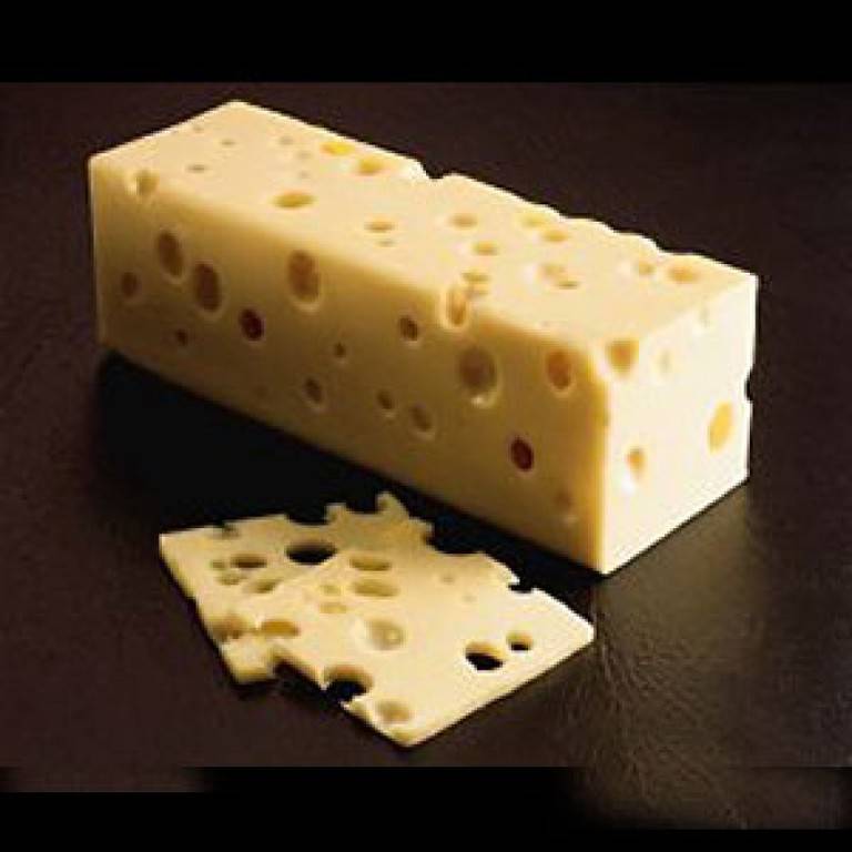 swiss-cheese-800x800.jpg