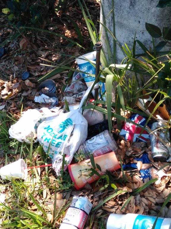 The shopping center at Walgreens and Publix.Beville & Clyde Morris.006.jpg