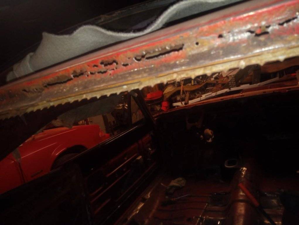 thumbnail - 2025-03-27T140450.916.jpg