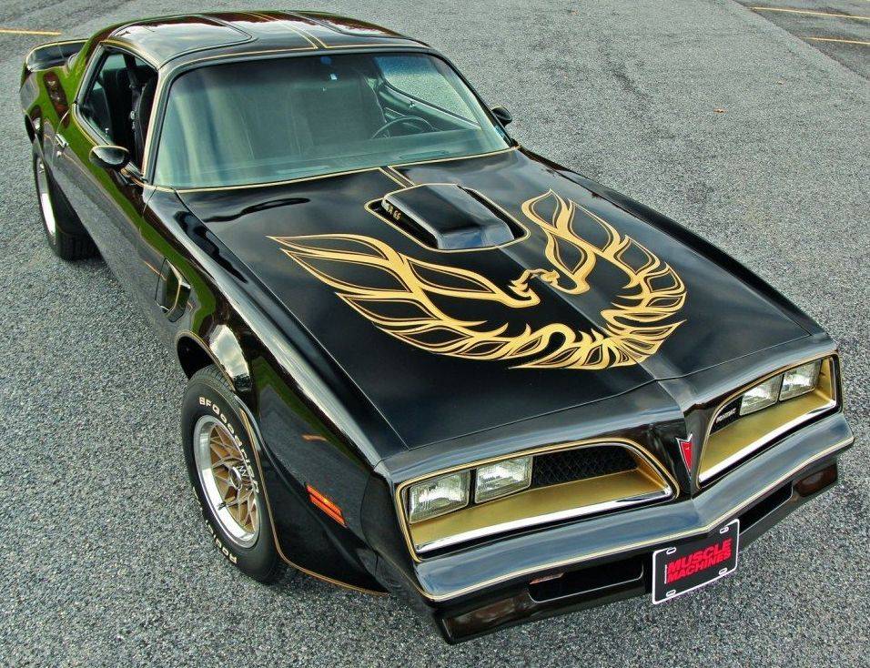 transam.jpg