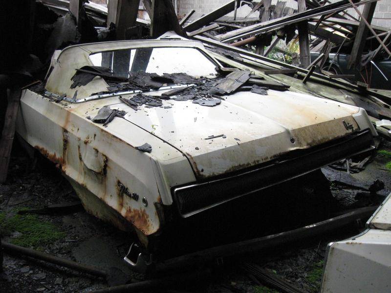 Transformed_Cars 037.jpg