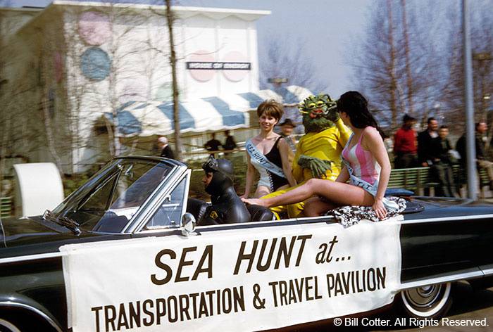 travel-sea-hunt.jpg