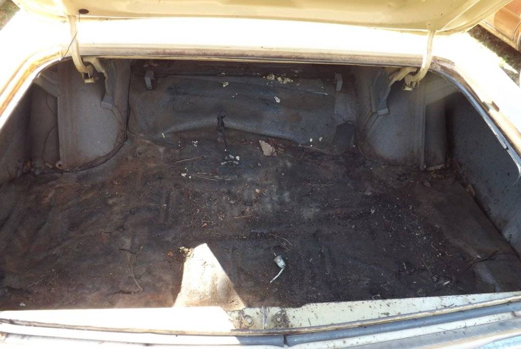 Trunk area.jpg