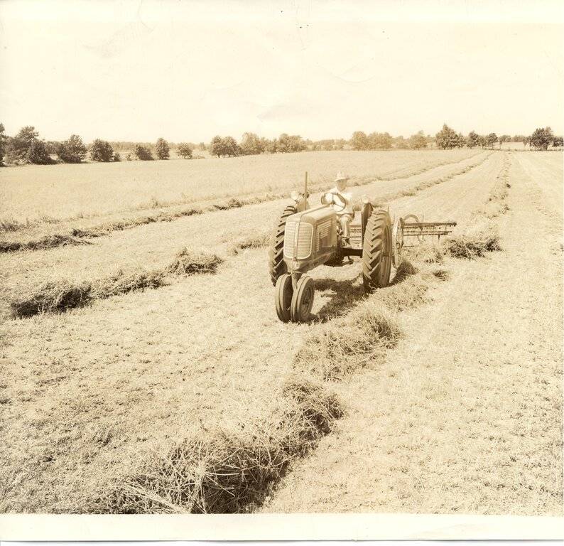 Uncle Harry on Oliver 70.jpg