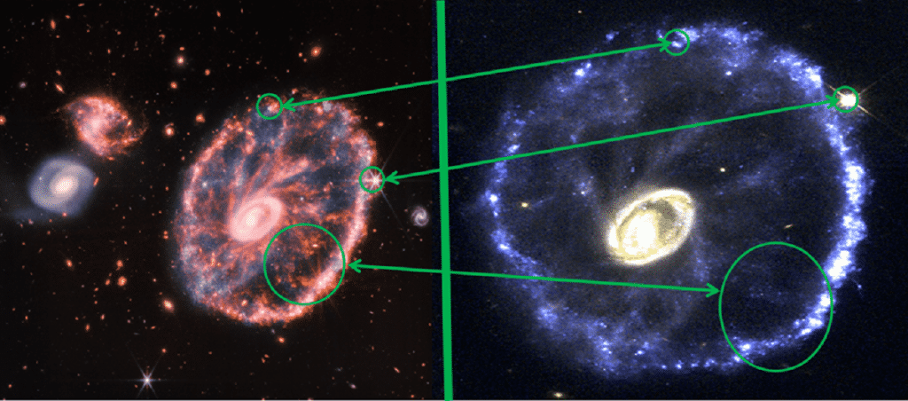 UntitledEE2ccc12812Z (2).png