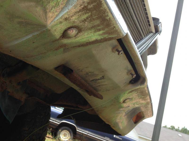 various c body parts 059.jpg