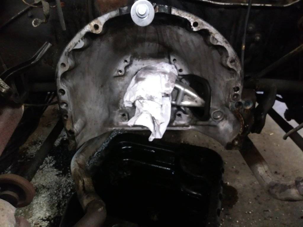 waygun revival 012.jpg