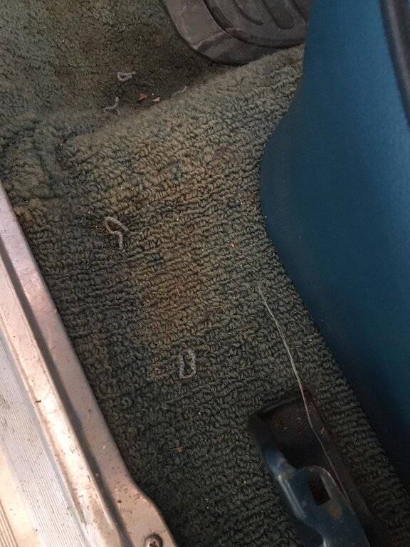 WhatsApp Image 2021-08-05 at 11.16.24(1).jpeg