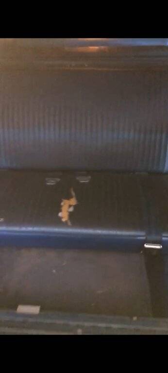 WhatsApp Image 2021-08-12 at 08.01.37.jpeg