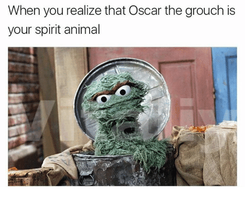 when-you-realize-that-oscar-the-grouch-is-your-spirit-21675926.png