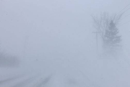 whiteout on rip road heading west.jpg