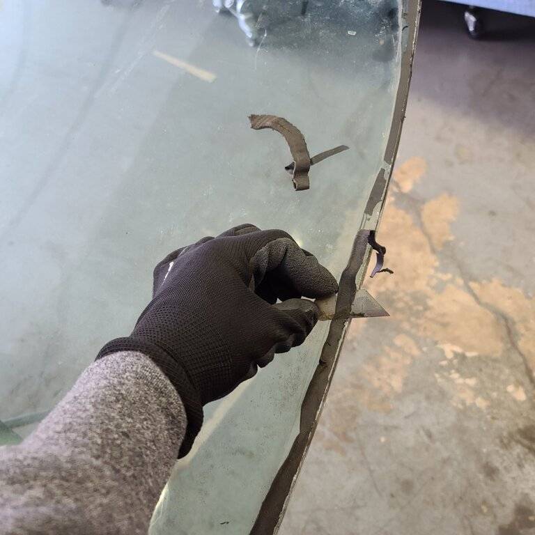 Window removal of seal.jpg