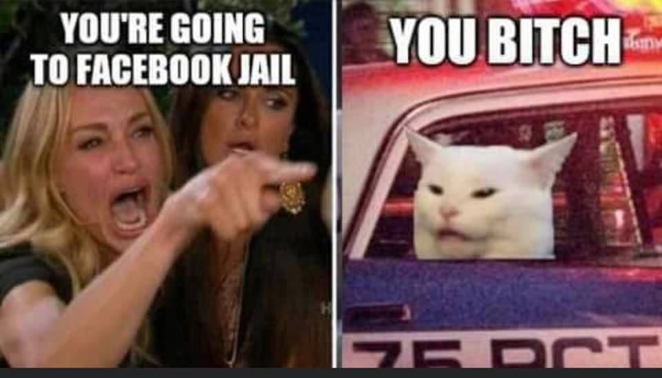 WOMAN.&.CAT.FB.JAIL.jpg